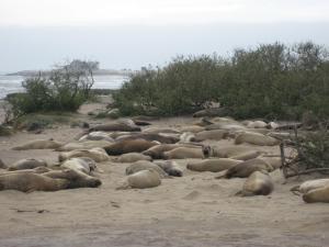 <img300*0:stuff/z/1675/EPRM%2520Aeo%2520Underwater%2521/IMG_0186.JPG>