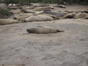 <img300*0:stuff/z/1675/EPRM%2520Aeo%2520Underwater%2521/IMG_0194.JPG>