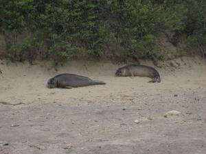 <img300*0:stuff/z/1675/EPRM%2520Aeo%2520Underwater%2521/IMG_0196.JPG>