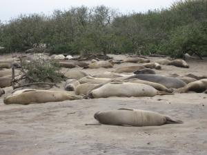 <img300*0:stuff/z/1675/EPRM%2520Aeo%2520Underwater%2521/IMG_0199.JPG>