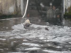 <img300*0:stuff/z/1675/EPRM%2520Aeo%2520Underwater%2521/IMG_0209.JPG>