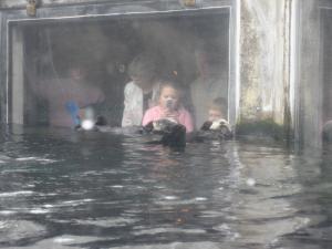 <img300*0:stuff/z/1675/EPRM%2520Aeo%2520Underwater%2521/IMG_0214.JPG>