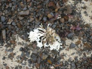 <img300*0:stuff/z/1675/EPRM%2520Aeo%2520Underwater%2521/IMG_0379.JPG>