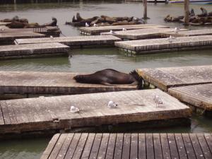 <img300*0:stuff/z/1675/EPRM%2520Aeo%2520Underwater%2521/PICT0718.JPG>