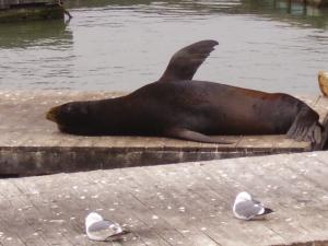 <img300*0:stuff/z/1675/EPRM%2520Aeo%2520Underwater%2521/PICT0719.JPG>
