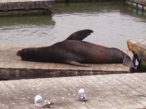 <img300*0:stuff/z/1675/EPRM%2520Aeo%2520Underwater%2521/PICT0721.JPG>