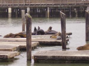 <img300*0:stuff/z/1675/EPRM%2520Aeo%2520Underwater%2521/PICT0723.JPG>