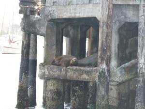 <img300*0:stuff/z/1675/aeoaeoae/Whadd%27yah_Want%20.jpg>