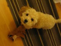 <img200*0:stuff/z/1675/proof%2520pics%25202/i1293072832_5.jpg>