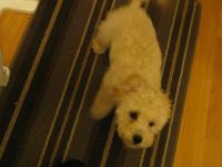 <img200*0:stuff/z/1675/proof%2520pics%25202/i1293072832_6.jpg>