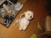 <img200*0:stuff/z/1675/proof%2520pics%25202/i1293072832_7.jpg>