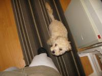 <img200*0:stuff/z/1675/proof%2520pics%25202/i1293072832_8.jpg>