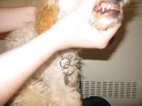 <img200*0:stuff/z/1675/proof%2520pics%25202/i1293418953_1.jpg>