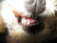 <img200*0:stuff/z/1675/proof%2520pics%25202/i1293418953_3.jpg>
