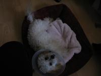 <img200*0:stuff/z/1675/proof%2520pics%25203/i1297129426_2.jpg>