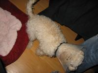 <img200*0:stuff/z/1675/proof%2520pics%25203/i1297129426_5.jpg>