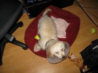 <img200*0:stuff/z/1675/proof%2520pics%25203/i1297129426_7.jpg>