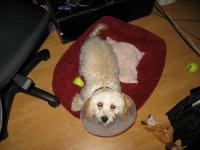 <img200*0:stuff/z/1675/proof%2520pics%25203/i1297129426_8.jpg>