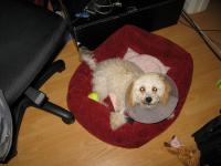 <img200*0:stuff/z/1675/proof%2520pics%25203/i1297129426_9.jpg>