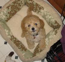 <img0*200:stuff/z/1675/proofpics1/i1287202607_1.jpg>