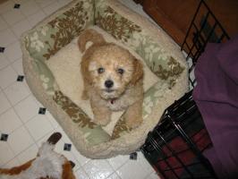 <img0*200:stuff/z/1675/proofpics1/i1287202607_2.jpg>