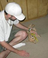 <img0*200:stuff/z/1675/proofpics1/i1287202607_4.jpg>