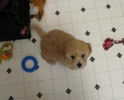 <img0*200:stuff/z/1675/proofpics1/i1287202608_12.jpg>