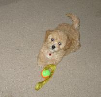 <img0*200:stuff/z/1675/proofpics1/i1287202608_13.jpg>