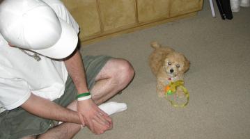 <img0*200:stuff/z/1675/proofpics1/i1287202608_14.jpg>