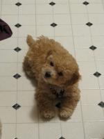 <img0*200:stuff/z/1675/proofpics1/i1287202608_15.jpg>