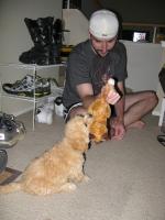 <img0*200:stuff/z/1675/proofpics1/i1287202608_16.jpg>