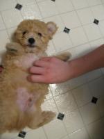 <img0*200:stuff/z/1675/proofpics1/i1287202608_17.jpg>