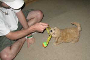 <img0*200:stuff/z/1675/proofpics1/i1287202608_18.jpg>