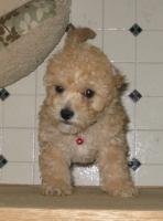 <img0*200:stuff/z/1675/proofpics1/i1287202608_19.jpg>
