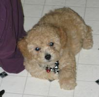 <img0*200:stuff/z/1675/proofpics1/i1287202608_5.jpg>