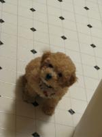 <img0*200:stuff/z/1675/proofpics1/i1287202608_6.jpg>