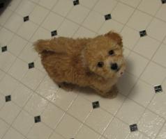 <img0*200:stuff/z/1675/proofpics1/i1287202608_7.jpg>
