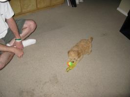 <img0*200:stuff/z/1675/proofpics1/i1287202608_8.jpg>