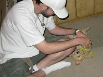 <img0*250:stuff/z/1675/proofpics1/i1287202608_9.jpg>
