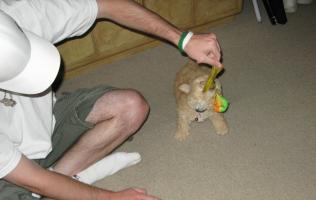 <img0*200:stuff/z/1675/proofpics1/i1287202609_23.jpg>