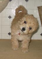 <img0*200:stuff/z/1675/proofpics1/i1287202609_24.jpg>