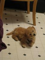 <img0*200:stuff/z/1675/proofpics1/i1287202609_25.jpg>