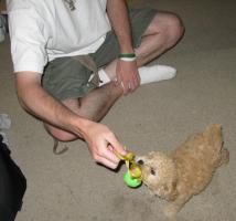 <img0*200:stuff/z/1675/proofpics1/i1287202609_26.jpg>