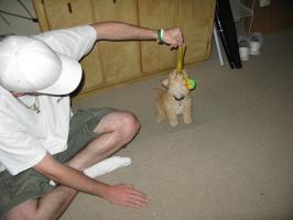 <img0*200:stuff/z/1675/proofpics1/i1287202609_27.jpg>