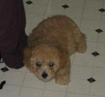 <img0*200:stuff/z/1675/proofpics1/i1287202609_28.jpg>
