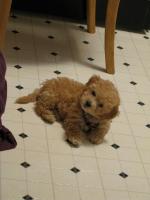 <img0*200:stuff/z/1675/proofpics1/i1287202609_29.jpg>