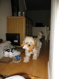 <img200*0:stuff/z/1675/proofpics4/i1302307708_1.jpg>