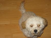 <img200*0:stuff/z/1675/proofpics4/i1302307708_2.jpg>