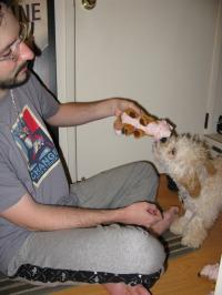 <img200*0:stuff/z/1675/proofpics4/i1302307709_3.jpg>