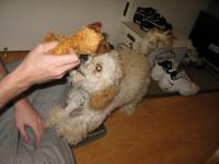 <img200*0:stuff/z/1675/proofpics4/i1302307709_4.jpg>